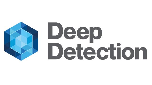 Deep Detection Logo