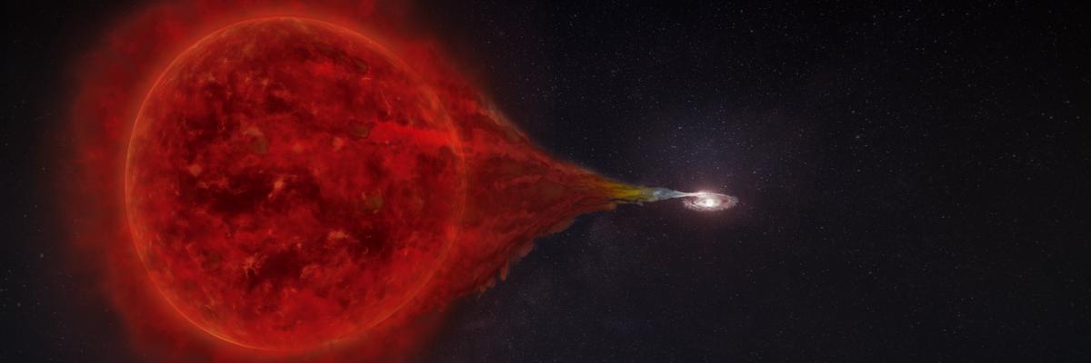 Red Giant Simulation