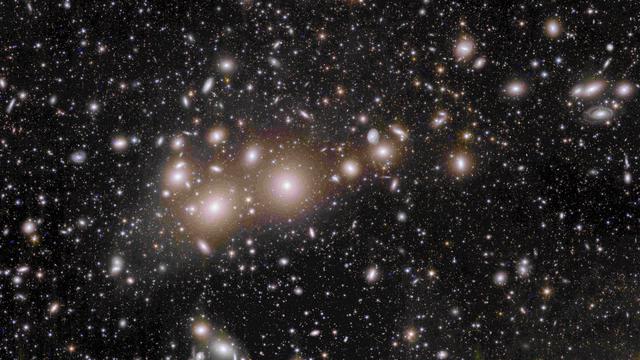 The Perseus Cluster of galaxies