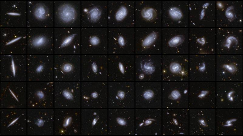 Euclid galaxy morphologies