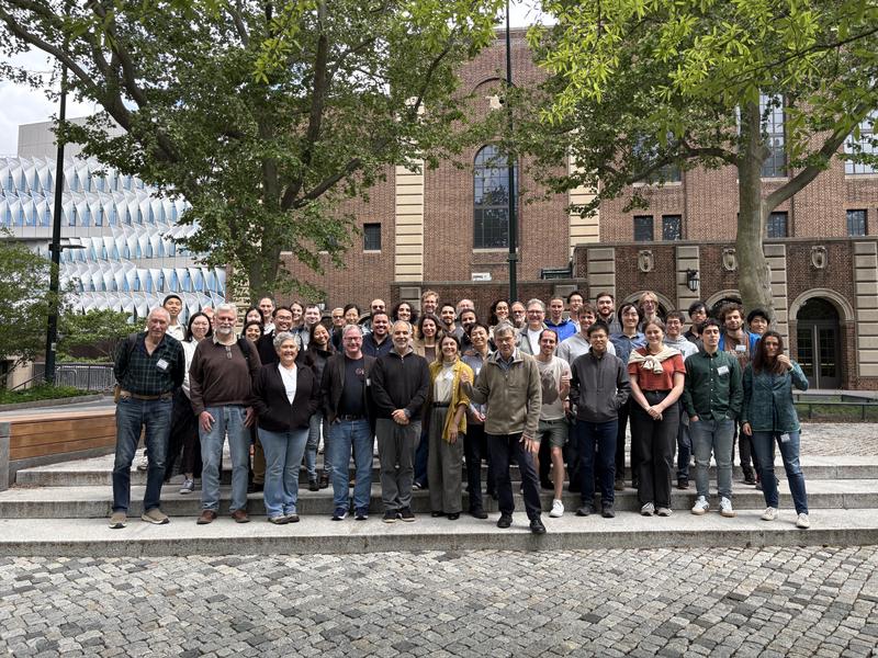 DES collaboration picture