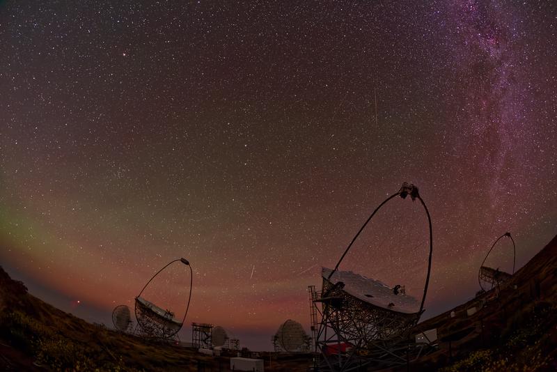 LST-1 and MAGIC telescopes at the Roque de los Muchachos Observatory
